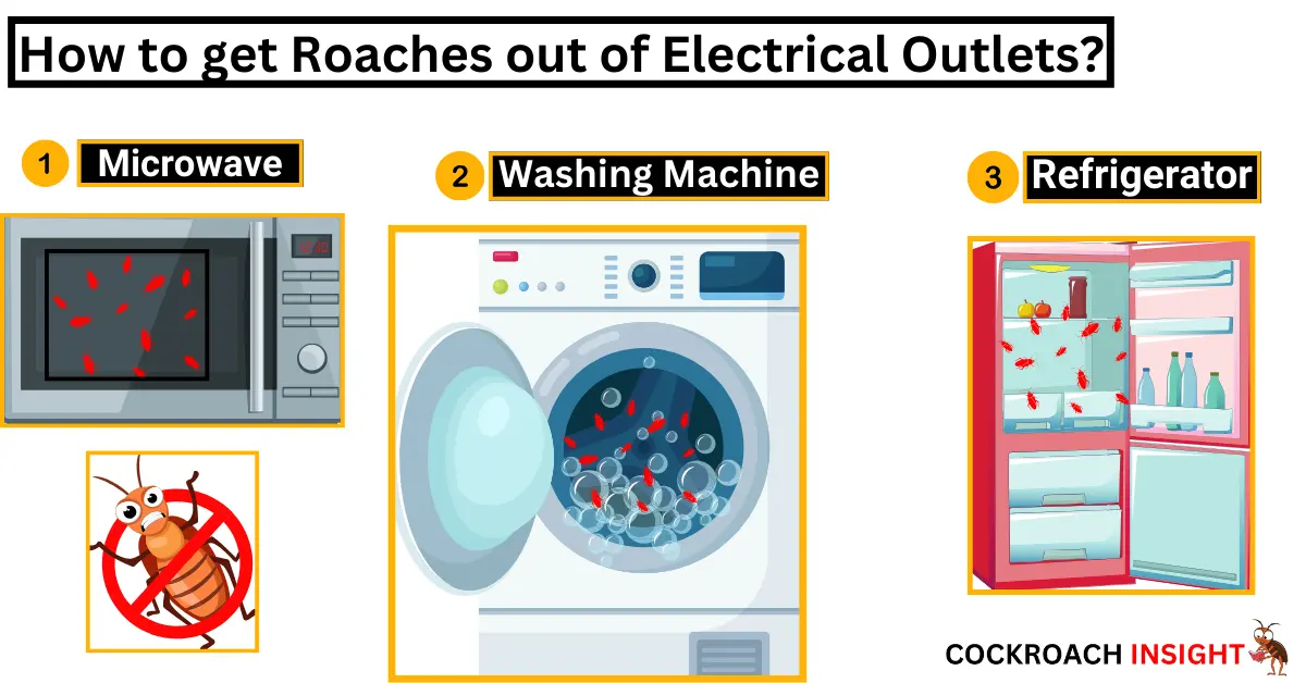 how to get roaches out of electrical outlets