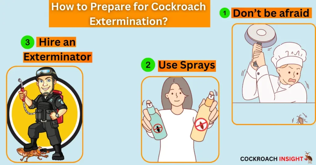 How to Prepare for Cockroach Extermination