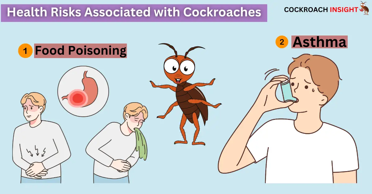 Health Risks Associated With Cockroaches