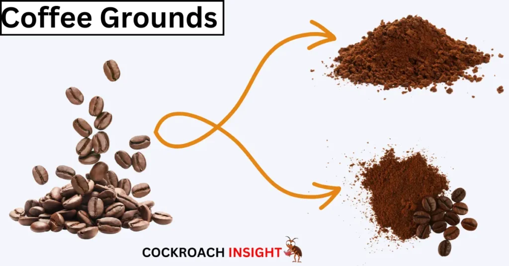 Coffee Grounds Scents that Repel Cockroaches