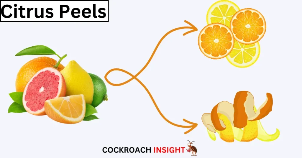 Citrus Peels Scents that Repel Cockroaches