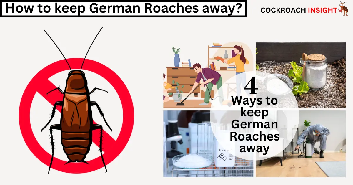 Ultimate Guide to Keeping German Roaches Away