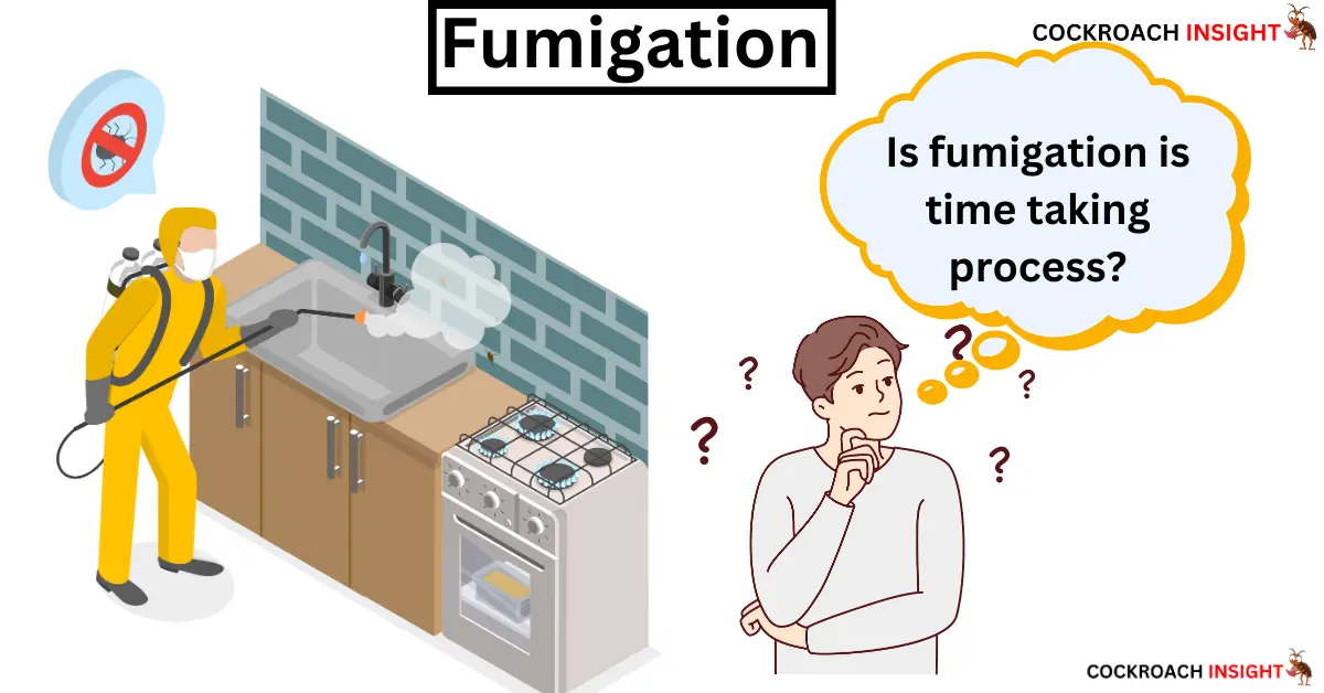 Fumigation Process For Cockroaches