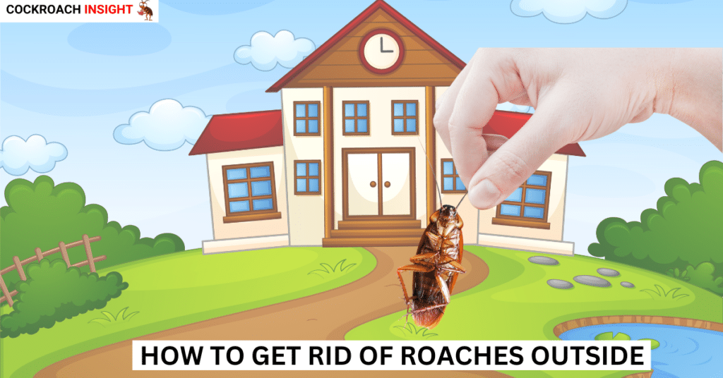 Say Goodbye to Outdoor Roaches: Proven Methods