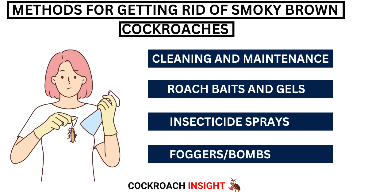 Methods For Getting Rid Of Smoky Brown Cockroaches