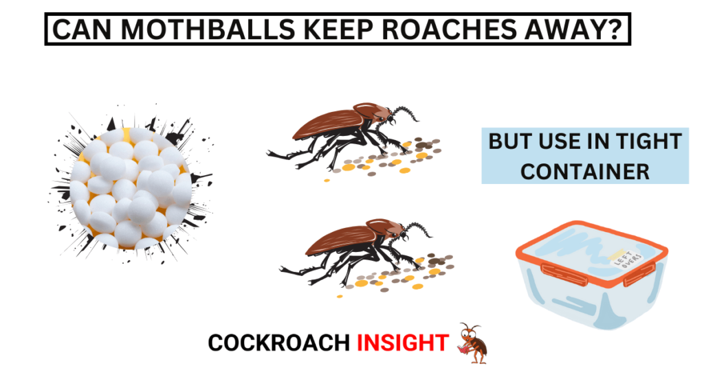 Do Mothballs Repel Roaches or Not