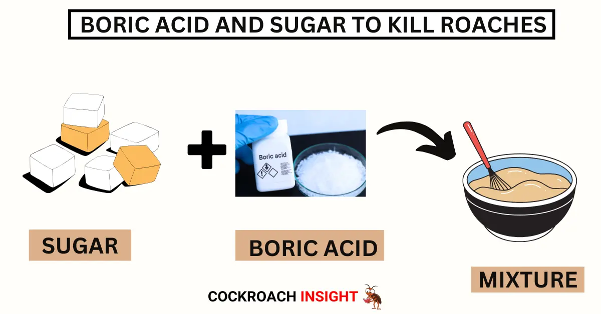 Boric Acid and Sugar to kill roaches