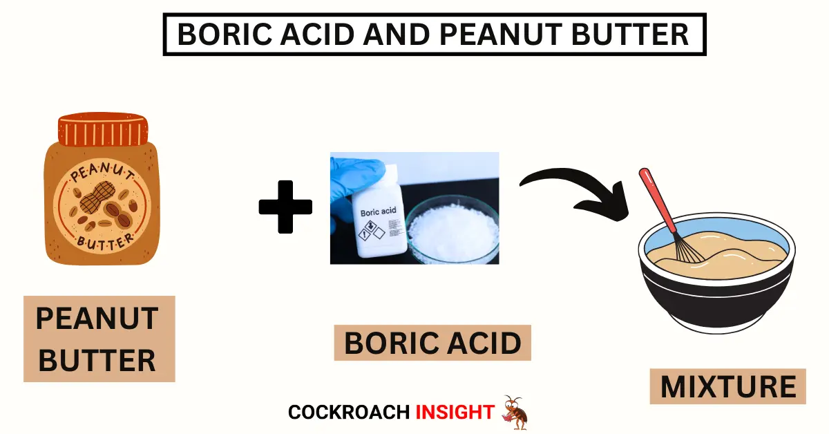 Boric Acid with Peanut Butter for cockroaches