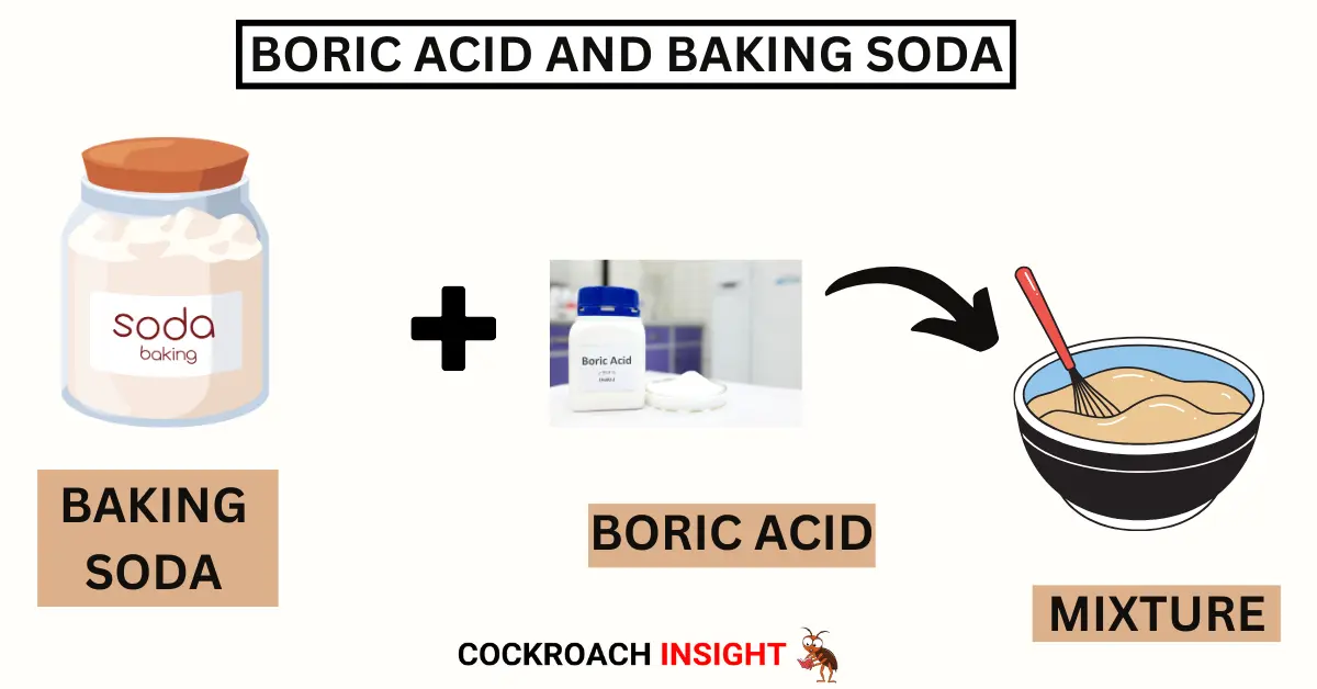 Boric Acid with Baking Soda for cockroaches