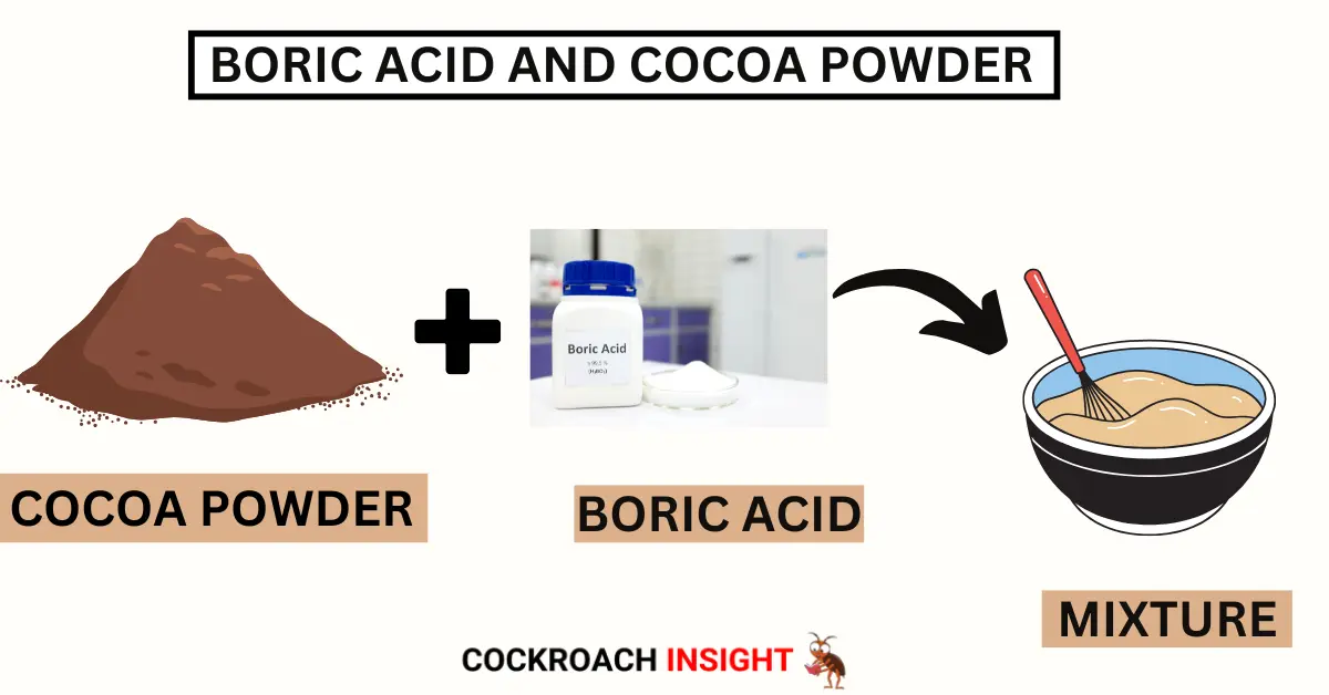 Boric Acid with Cocoa Powder to kill cockroaches