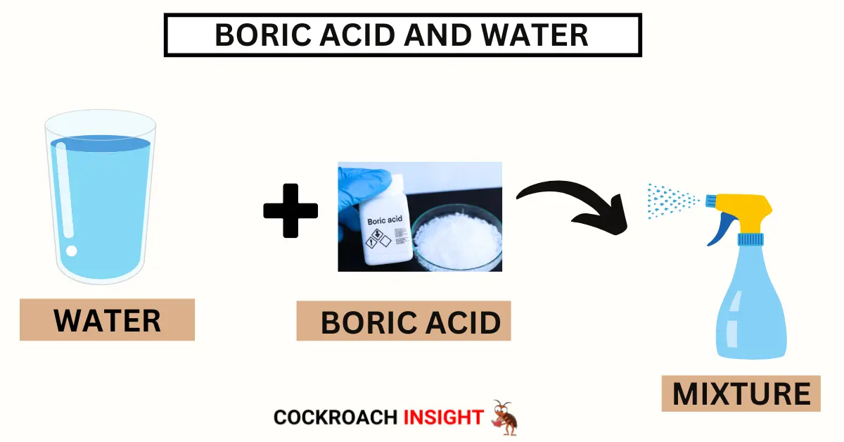 Boric Acid and Water TO KILL COCKROACHES 