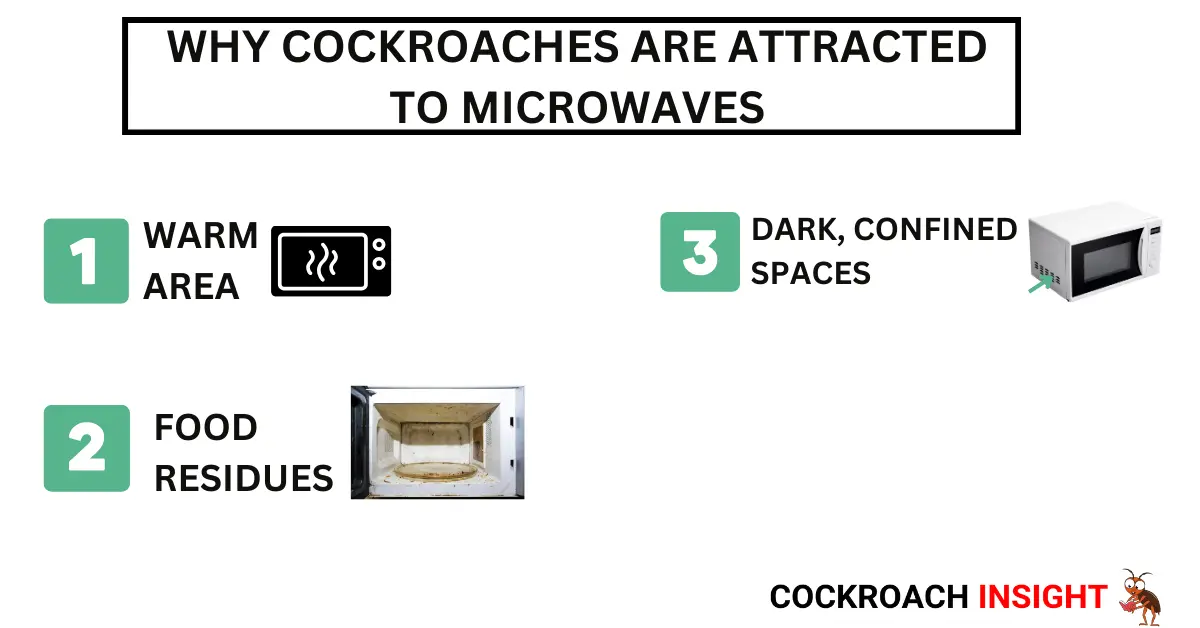 Why Cockroaches Are Attracted to Microwaves