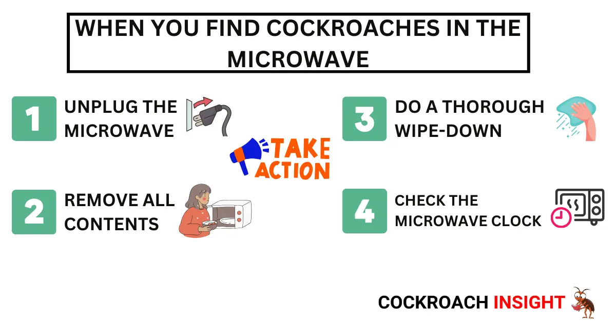 When You Find Cockroaches in the Microwave | Immediate Actions!