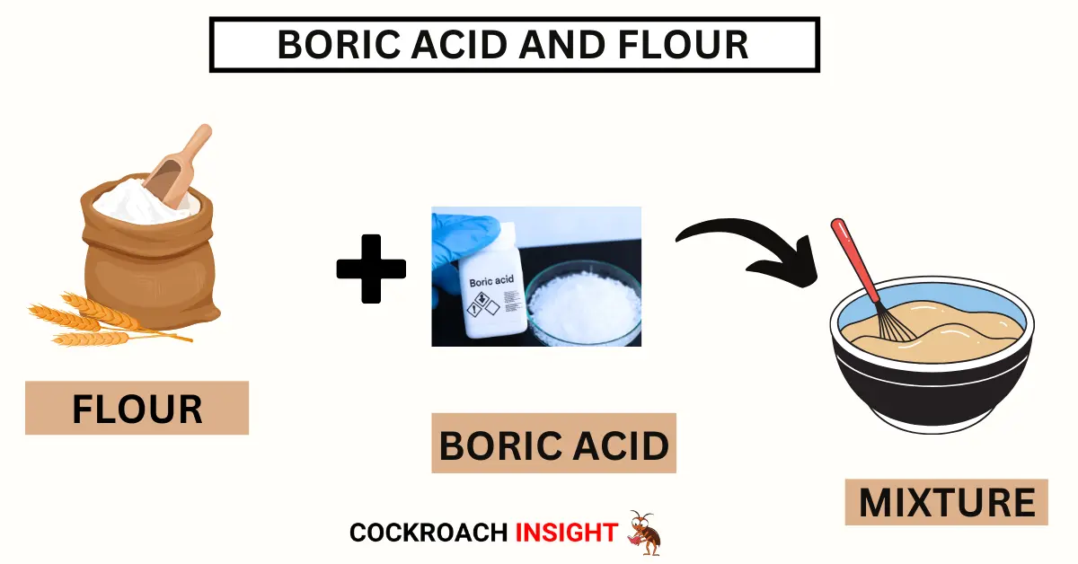 Boric Acid and Flour TO KILL COCKROACHES