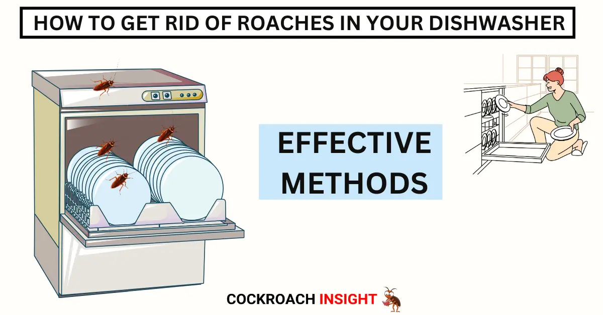 Stop Roaches in Your Dishwasher |Step by Step Guide!