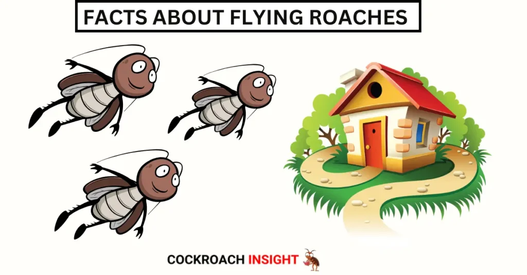 Can Cockroaches Fly? Shocking Facts About Flying Roaches