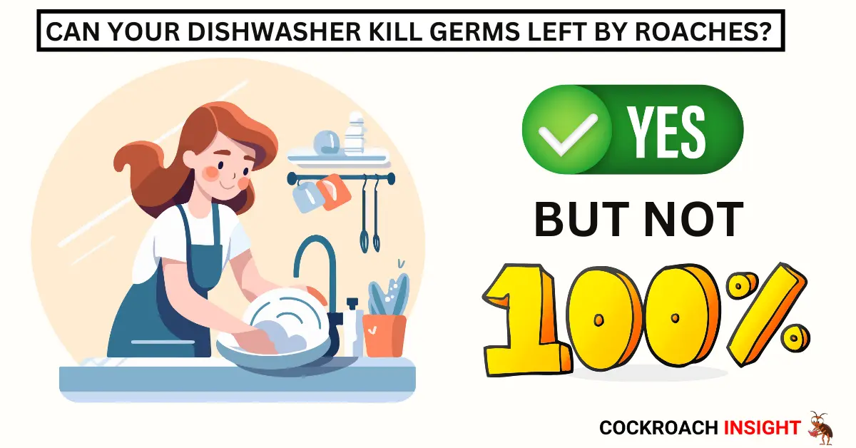 Can you’re Dishwasher Kill Germs Left by Roaches?