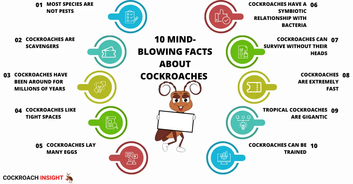 10 Fascinating Facts About Cockroaches