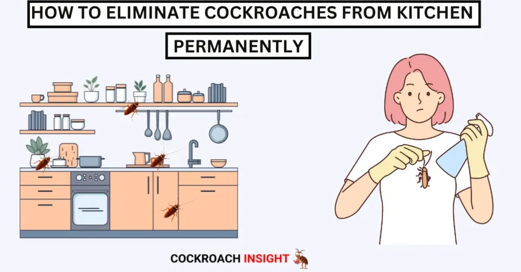 Say Goodbye to Cockroaches: 10 Proven Methods to Permanently Clear Your Kitchen