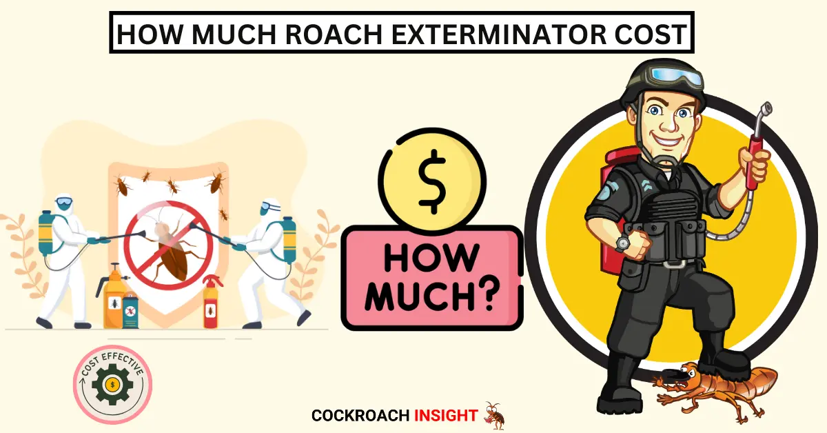 How Much Does Roach Exterminator Really Cost?