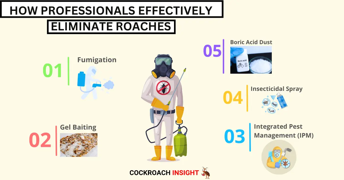 ●	How Professionals Effectively Eliminate Roaches