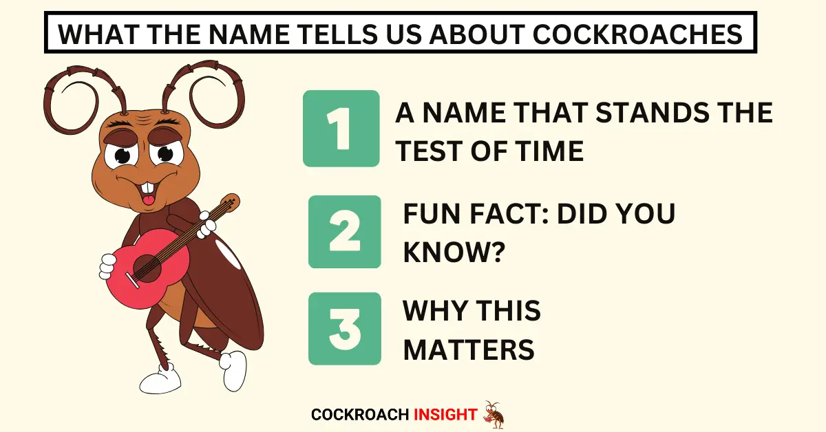 What the Name Tells Us About Cockroaches