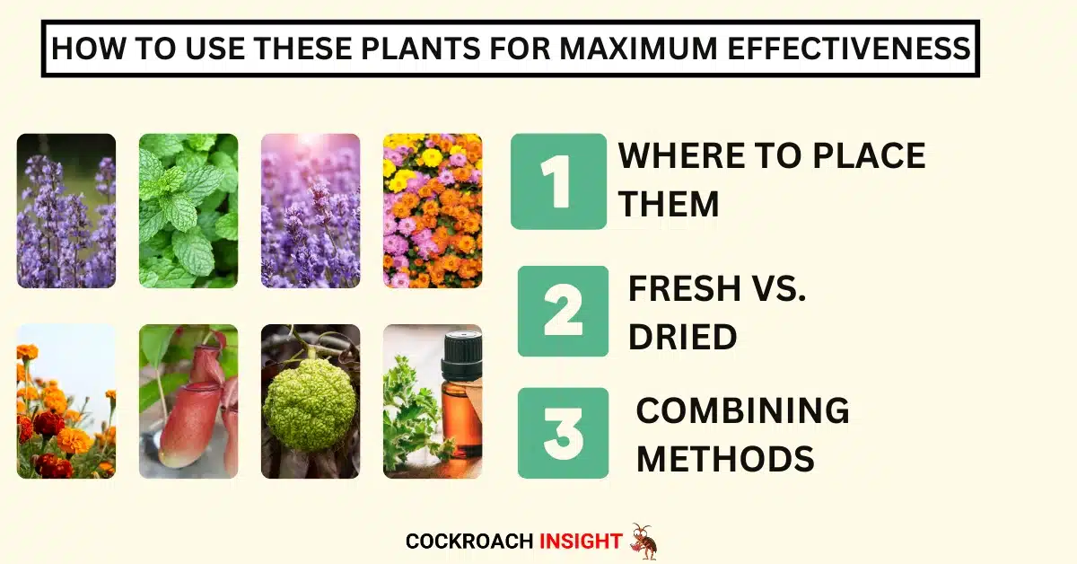 How to Use These Plants for Maximum Effectiveness