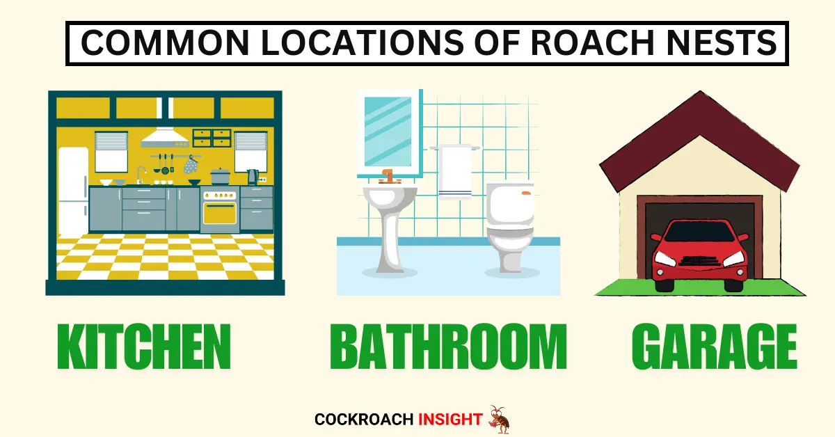 Common Locations of Roach Nests